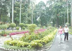 4 giải pháp làm “nguội” thành phố